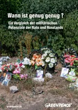 Wann ist gemug genug? Ein Vergleich der militärischen Potentiale von NATO und Russland