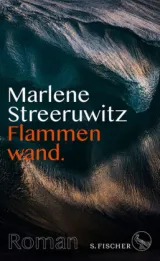  978-3-10-397385-3;Streeruwitz-Flammenwand.jpg - Bild