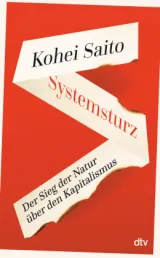  978-3-423-28369-4;Saito-Systemsturz.jpg - Bild