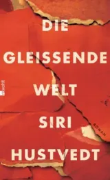  978-3-498-03024-7;hustvedt-gleissende.jpg - Bild