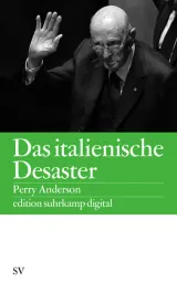  978-3-518-07440-4;anderson-desaster.jpg - Bild