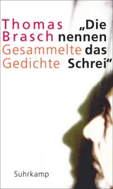  978-3-518-42345-5;Brasch-Die nennen das Schrei.jpg - Bild