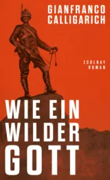  978-3-552-07510-8;Calligarich-Wie ein wilder Gott.jpg - Bild