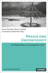 978-3-593-51521-2;Fladvad-PraxisUndUngewissheit.jpg - Bild