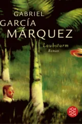 978-3-596-16261-1;Marquez-Laubsturm.jpg - Bild