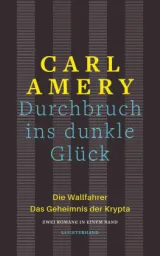  978-3-630-87698-6;Amery-DurchbruchInsDunkleGlück.jpg - Bild