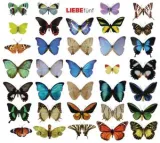  978-3-8371-2539-9;Rether-Liebe 5.jpg - Bild