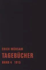 978-3-940426-80-2;Mühsam-Tagebücher-4.jpg - Bild