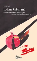  978-3-96042-171-9;aDj-TofanSturm.jpg - Bild