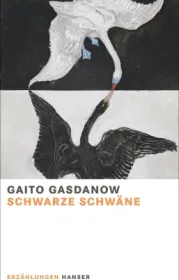  978-3-446-26751-0;Gasdanow-SchwarzeSchwäne.jpg - Bild