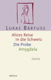  978-3-8353-0164-1;Bärfuss-Alices Reise.jpg - Bild