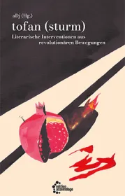  978-3-96042-171-9;aDj-TofanSturm.jpg - Bild