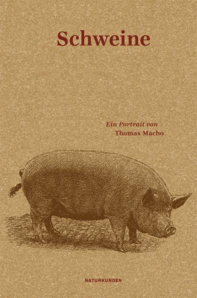 Schweine. Ein Portrait. Von Thomas Macho