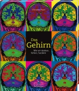  978-3-7716-4604-2;pauli-gehirn.jpg - Bild