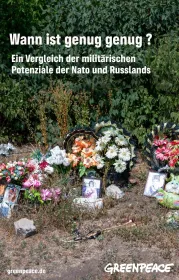 Wann ist gemug genug? Ein Vergleich der militärischen Potentiale von NATO und Russland