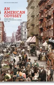  4465181800001Z.jpg - Bild