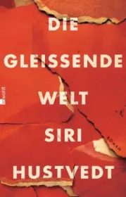  978-3-498-03024-7;hustvedt-gleissende.jpg - Bild