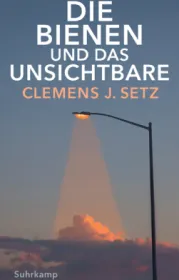  978-3-518-42965-5;Setz-DieBienenUndDasUnsichtbare.jpg - Bild