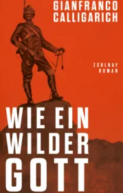  978-3-552-07510-8;Calligarich-Wie ein wilder Gott.jpg - Bild