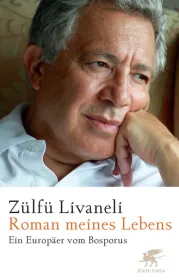  978-3-608-93895-1;zuelfue-roman.jpg - Bild