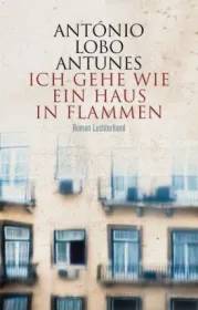  978-3-630-87502-6;Antunes-Ich gehe wie ein Haus in Flammen.jpg - Bild