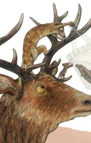  978-3-7152-0642-4;pauli-nur.jpg - Bild