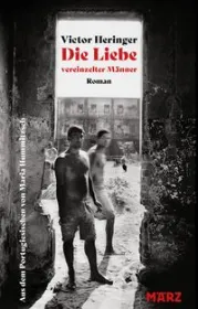 978-3-7550-0039-6;Heringer-DieLiebeVereinzelterMänner.jpg - Bild