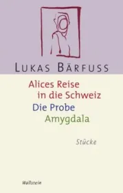  978-3-8353-0164-1;Bärfuss-Alices Reise.jpg - Bild