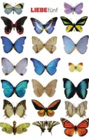 978-3-8371-2539-9;Rether-Liebe 5.jpg - Bild