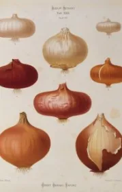 978-3-8371-3520-6;Rether-Liebe6.jpg - Bild