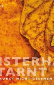  978-3-86873-810-0;wolfe-meisterhaft.jpg - Bild