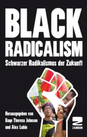  978-3-88975-271-0;Johnson-BlackRadicalism.jpg - Bild