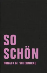  978-3-943167-10-8;schernikau-so.jpg - Bild