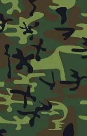  camouflage-6031029_640.jpg - Bild