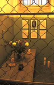  zelle_buchenwald.png - Bild