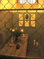  zelle_buchenwald.png - Bild